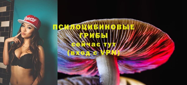 PSILOCYBIN Гусиноозёрск